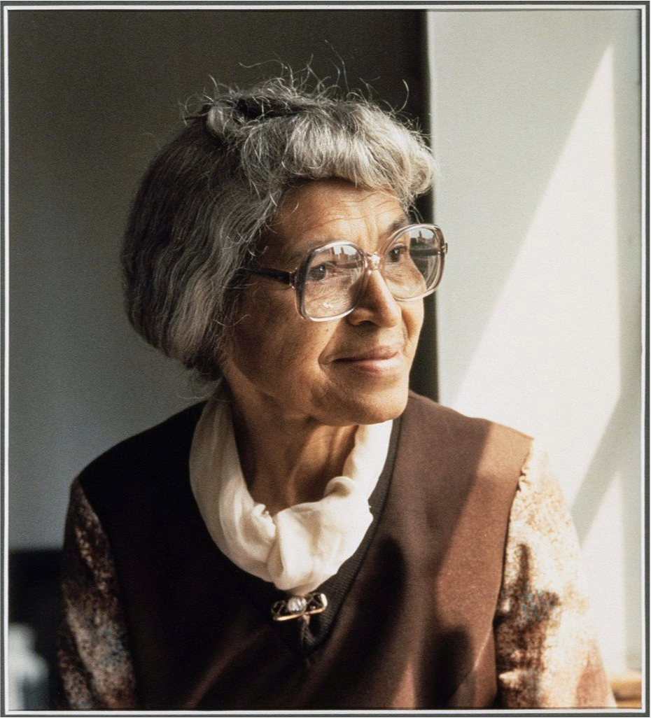 Rosa Parks: More Than a One-Hit Wonder