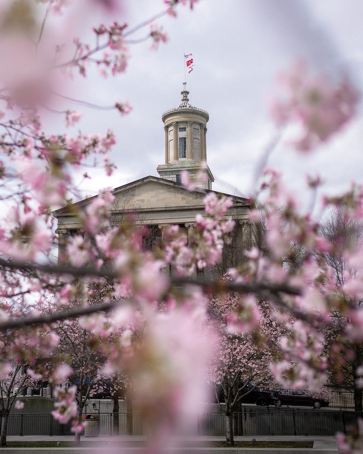 Bald-Faced Racism in Tennessee