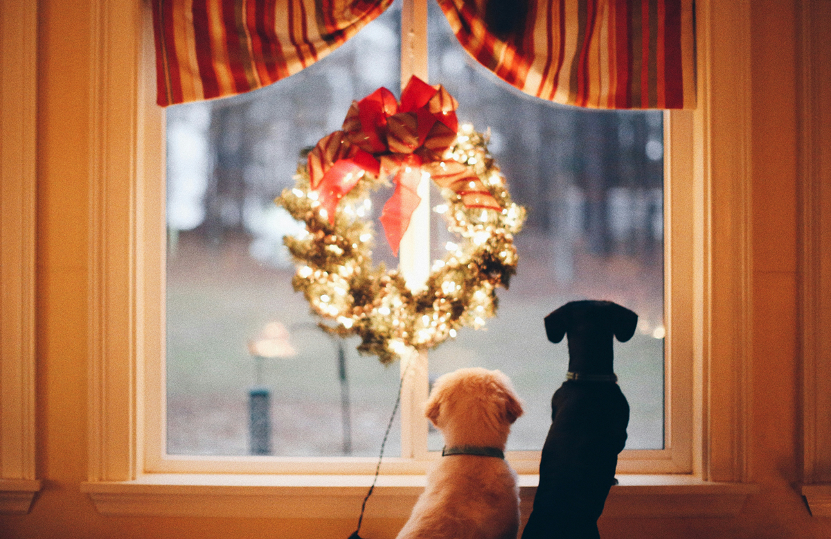 Happy Holidays!