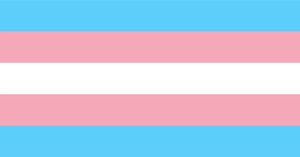 TRANS RIGHTS